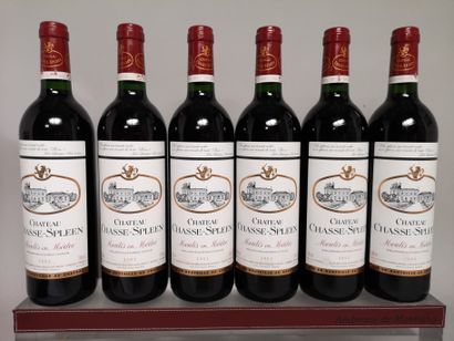 null 
6 bouteilles Château CHASSE SPLEEN - Moulis 2002




Etiquettes légèrement...