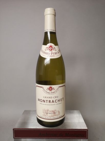 null 
1 bouteille MONTRACHET Grand cru - BOUCHARD PF 2009 
