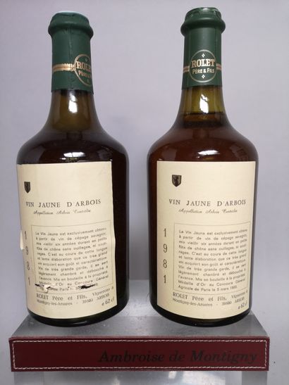 null 
2 bouteilles VIN JAUNE- Domaine ROLET 1981


Une étiquette légèrement griffée...