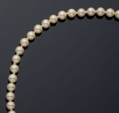 null FLEXIBLE BRACELET made of a row of pearls.