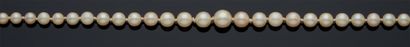null COLLAR OF FALLING PEARLS, box clasp in yellow gold 750 mm and eight security.
Gross...