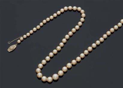 null COLLAR OF FALLING PEARLS.
Gold clasp 750 mm decorated with brilliant-cut diamonds
Length...