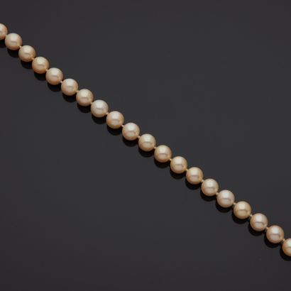 null Collier choker en perles de culture, le fermoir en or.

Longueur : 44 cm.

Poids...