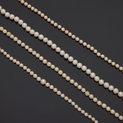 null Ensemble de quatre colliers en perles, les fermoirs en or.

Poids brut : 85,2...