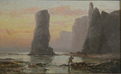 null English School 

Cliffs in England

Oil on cardboard

Sign on the reverse s...