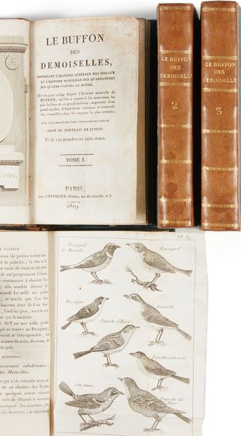 null [BUFFON] Le Buffon des demoiselles, contenant l'histoire des oiseaux et l'histoire...
