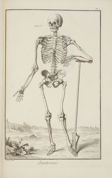 null [ENCYCLOPEDIA]. Collection of plates: Engraving - Layer - Anatomy. 1 vol. in-folio....