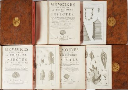 RÉAUMUR, René-Antoine Ferchault de. Mémoires pour servir à l'histoire des insectes....