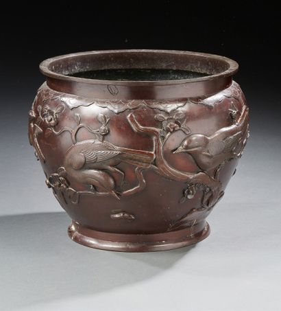 CHINE Important cache pot en bronze à patine brune à décor en relief d'oiseaux branchés.
Vers...