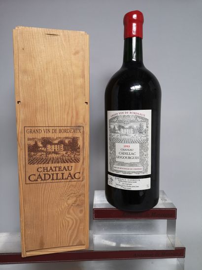 null 1 double magnum Château CADILLAC Les GOURGUES - Bordeaux 1993 En coffret bo...