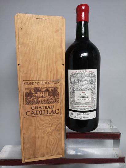 null 1 double magnum Château CADILLAC Les GOURGUES - Bordeaux 1993 En coffret bo...