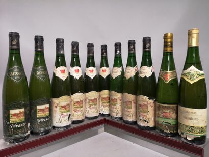 null 
11 bottles ALSACE DIVERS 9 RIESLING and 2 SYLVANER from 1990





Labels slightly...