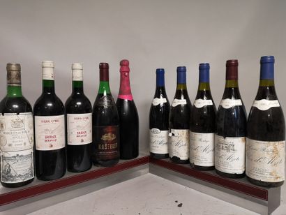 null 10 bouteilles VINS DIVERS FRANCE et ETRANGERS RIOJA, CORSA, IROULEGUY Etc…

A...