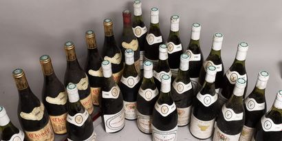 null 24 bouteilles BROUILLY et CHINON A VENDRE EN L'ETAT (Georges Duboeuf, Dom. de...