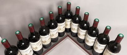 null 12 bouteilles Château TOUR BALADOZ - Saint Emilion Grand Cru 1989 

Etiquettes...