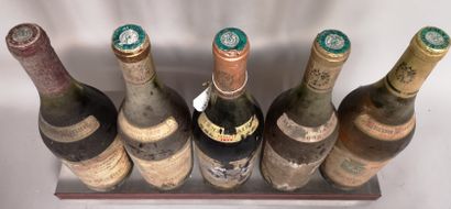 null 5 bottles ARBOIS divers - Domaine Henri Maire Years 70

FOR SALE AS IS