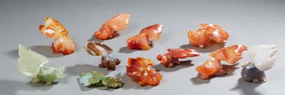 CHINE Set of eleven carved agate sailfish of different colors Modern period