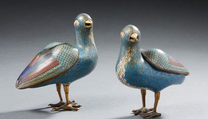 CHINE Paire de cailles en bronze cloisonné à fond bleu turquoise décorés en polychromie...