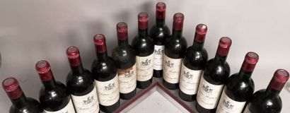 null 12 bouteilles Château MONTROSE - 2e GCC Saint Estèphe 1964 Étiquettes légèrement...