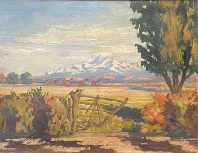 null V TOUCHARD 1921

Landscape with snowy summits

Oil on cardboard signed lower...