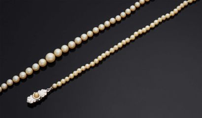 null COLLIER de perles en chute. Fermoir olive en or rose 750mm et chaîne de sécurité....