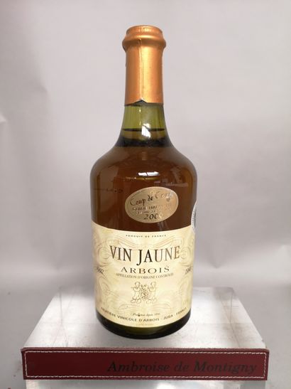 null 1 bottle VIN JAUNE d'ARBOIS - Frutière Vinicole 1992