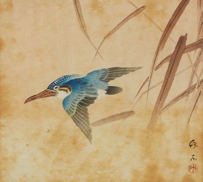 ECOLE JAPONAISE DU XIXE SIÈCLE, CHIKUSEKI Kingfisher 
Watercolor on paper signed
Freckles
Dim.:...
