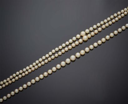 null LOT comprenant :
- un collier de perles de culture en chute sur un rang, fermoir...