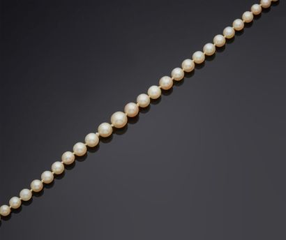 null NECKLACE of pearls in fall.
Clasp in gold 750 mm decorated with brilliant-cut...
