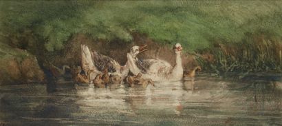 Frederic LEHNERT (né en 1811), attribué à Geese
Watercolor
10 x 22,5 cm (on view...