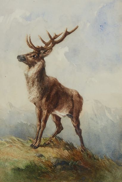 Frederic LEHNERT (né en 1811), attribué à Deer
Watercolor
19 x 13 cm (on view)