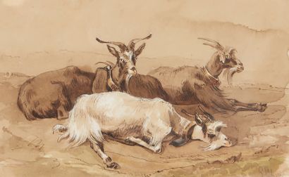 Giuseppe PALIZZI (Lanciano 1812 - Paris 1888) Troupeau de chèvres
Plume et encre...