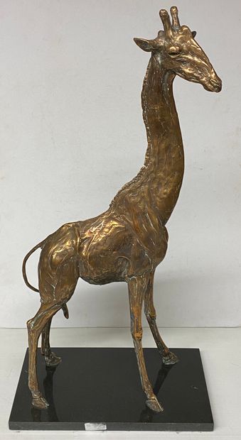 null Robert GLEN (1940)

Giraffe

Bronze à patine médaille

Ed. 7 / 10

63,5 x 30,5...