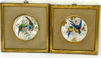 null Jules Auguste HABERT DYS (1850 - ?) 

Oiseaux des iles

Paire de miniatures...