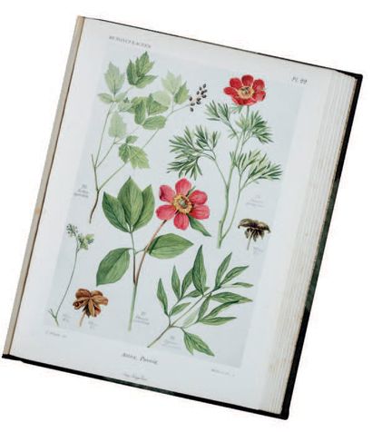 BONNIER, Gaston - DOUIN, Robert Complete flora of France, Switzerland and Belgium...