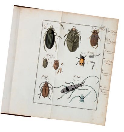 GEOFFROY, Étienne-Louis Histoire abrégée des insectes qui se trouvent aux environs...