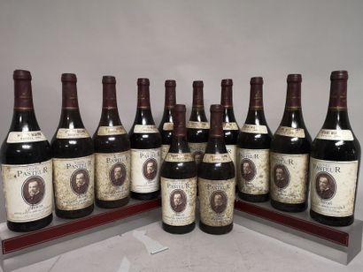 null 12 bouteilles ARBOIS "Cuvée Pasteur" - H. MAIRE 1995 A VENDRE EN L'ETAT