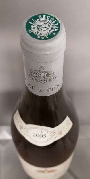 null 1 bottle PULIGNY MONTRACHET 1er Cru "Hameau de Blagny" - Jean PASCAL & Fils...