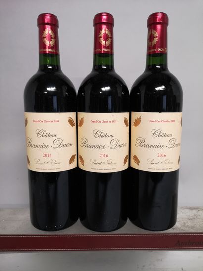 null 3 bouteilles Château BRANAIRE DUCRU - 4e Gcc Saint Julien 2016

Étiquettes légèrement...