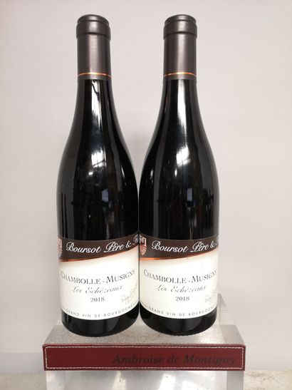 null 2 bottles CHAMBOLLE MUSIGNY " Les Echézeaux " - BOURSOT P & F 2018

Slightly...