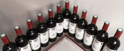 null 12 bouteilles Le CHEVALIER CHABASOULT - Bordeaux 2000 A VENDRE EN L'ETAT