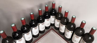 null 12 bouteilles Le CHEVALIER CHABASOULT - Bordeaux 1999 A VENDRE EN L'ETAT
