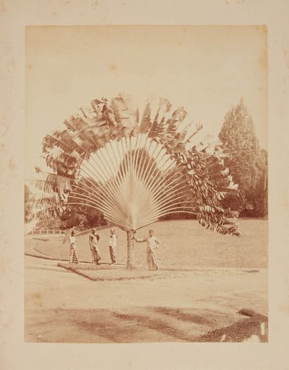 GUSTAVE RICHARD LAMBERT (1846 - 1907) Vue de South Bridge Road avec la mosquée Masjid
Jamae,...