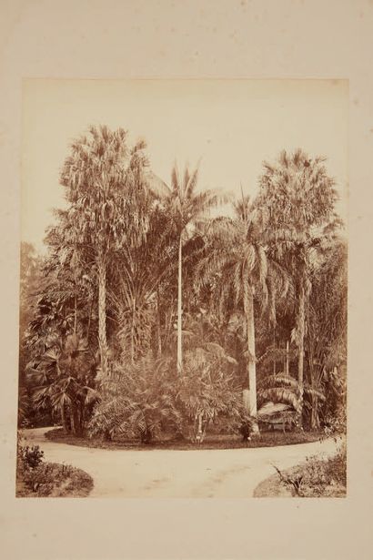 CHARLES T. SCOWEN (1852-1948) Catamaran sur la plage, Temple de Brahma, vues de Colombo,...