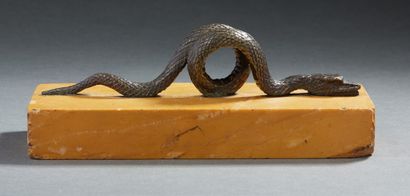 null Presse papier figurant un serpent en bronze à patine brune reposant sur une...