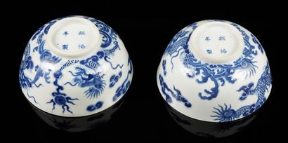 CHINE pour le Vietnam Deux grands bols circulaires en porcelaine décorés en bleu...