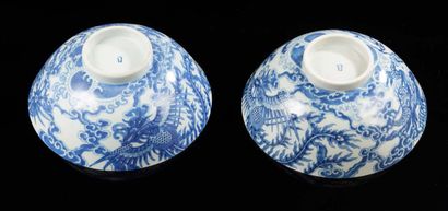 CHINE pour le Vietnam Deux grands bols circulaires en porcelaine décorés en bleu...