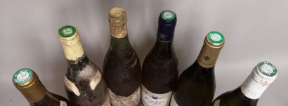 null 6 bouteilles BOURGOGNES BLANCS DIVERS A VENDRE EN L'ETAT 

1 MEURSAULT Charmes...