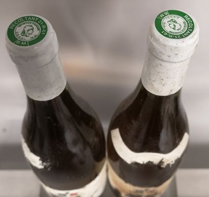null 2 bouteilles MEURSAULT - Jean PASCAL & Fils 1996 

Etiquettes en lambeau, présumé...