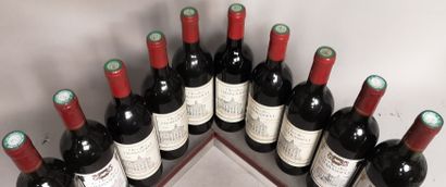null 10 bouteilles BORDEAUX "Le CHEVALIER CHABASOULT" - 6 de 1999 et 4 de 2000
